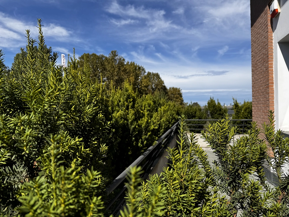 completed project image